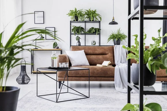 Wohnzimmer mit vielen Pflanzen